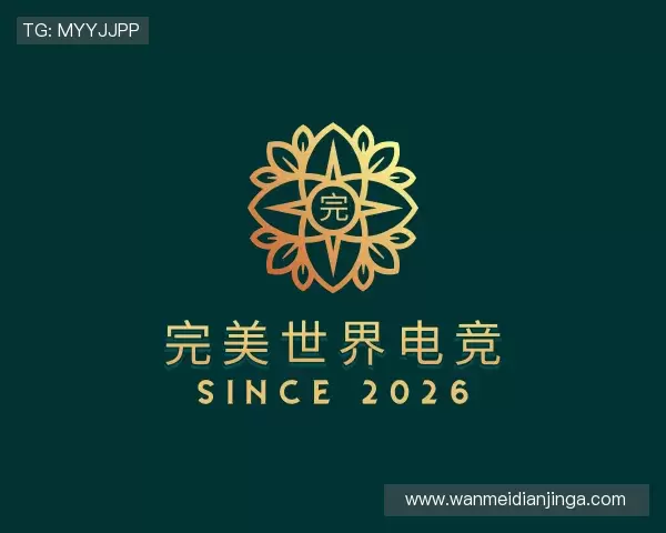 关于完美电竞